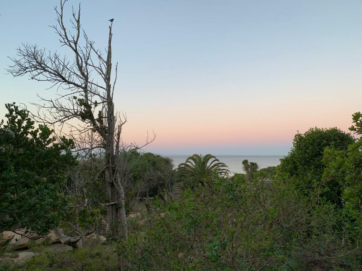 Cycads On Sea Guest House St Francis Bay Exterior foto