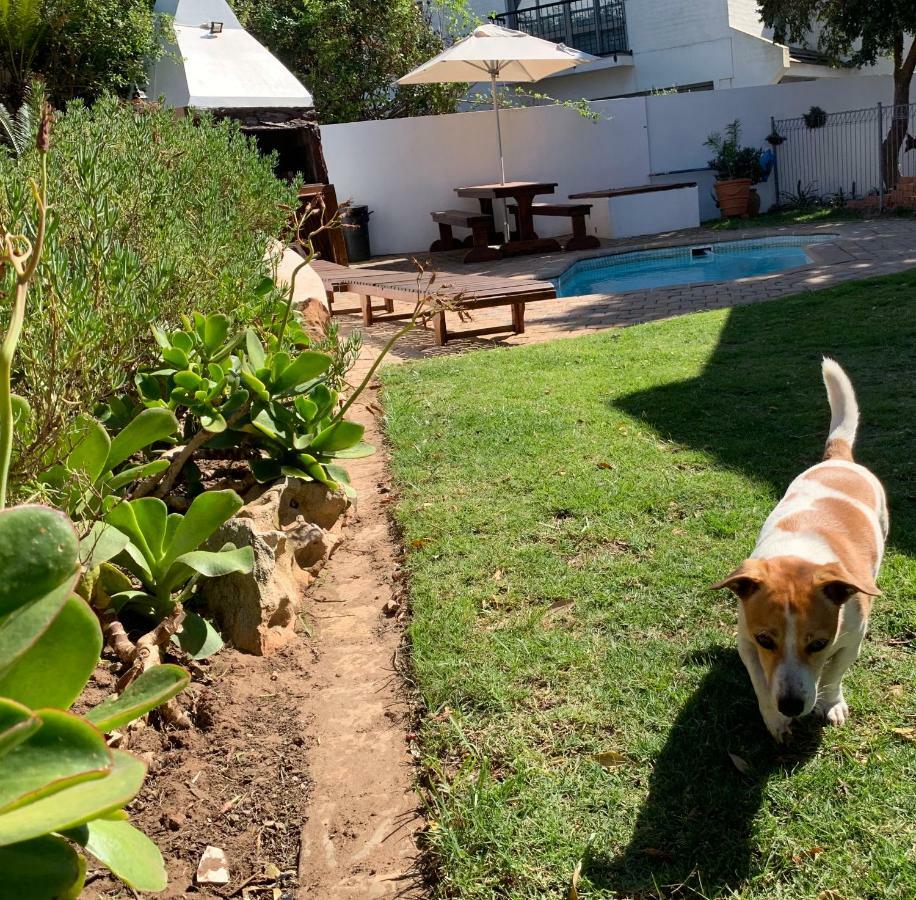 Cycads On Sea Guest House St Francis Bay Exterior foto